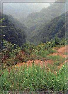 Buffalo Creek Valley from reclaimation site